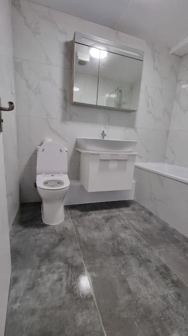 Brand New Flat Close To Turnpike Lane Tube Station Londres Extérieur photo